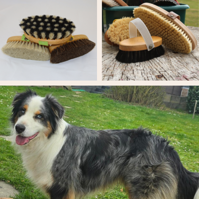 Bilder von den Bürsten für Tire