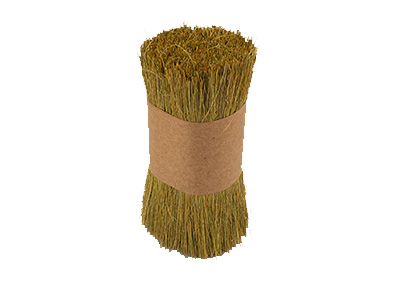 Schilfgras