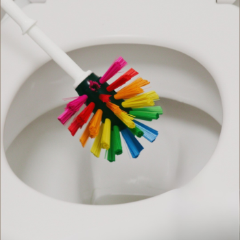 Preview: Eine WC-Bürste wird symbolisch bei der Reinigung einer Toilette gezeigt